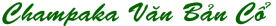 vanbanco